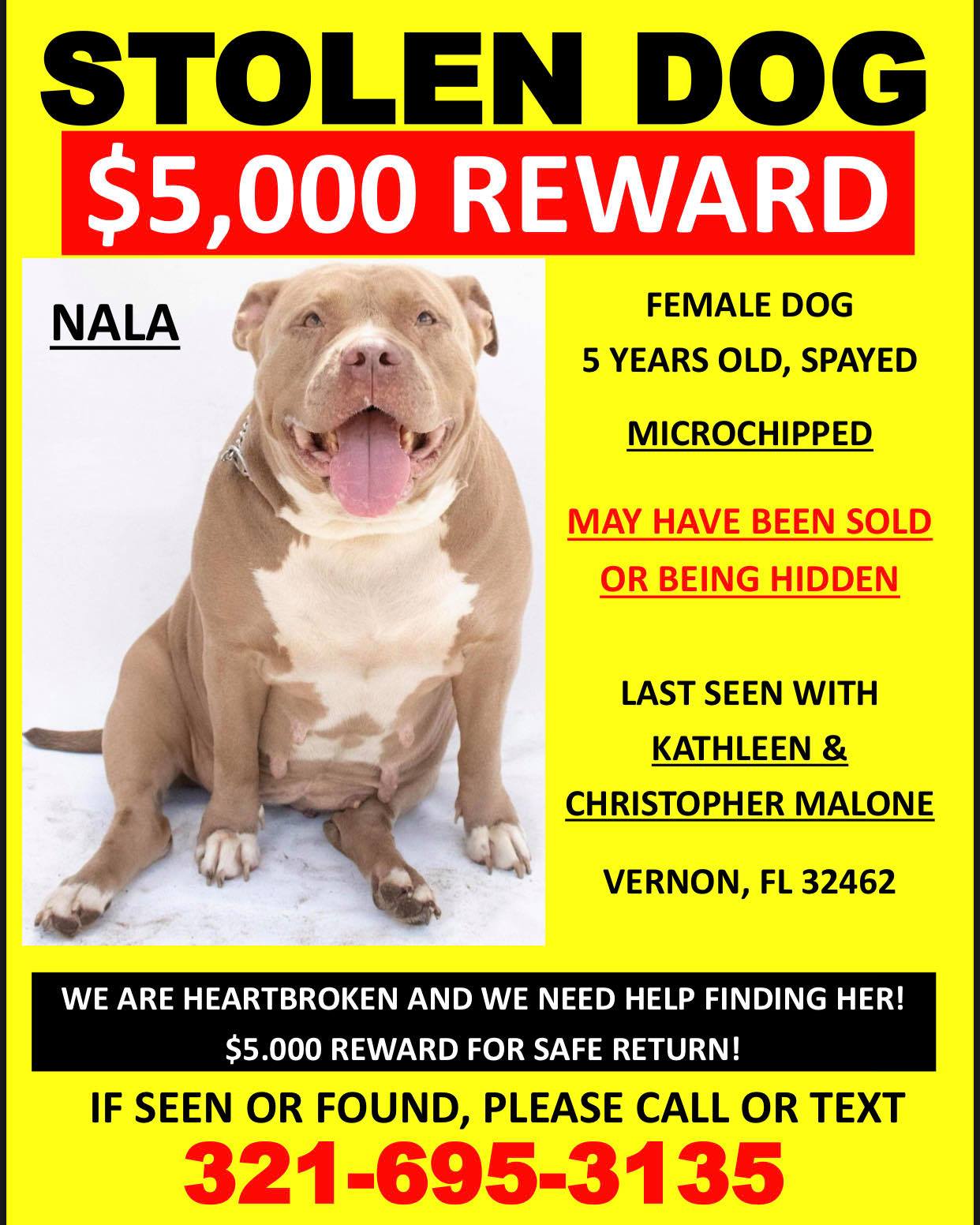 what happened to nala the pitbull? 2