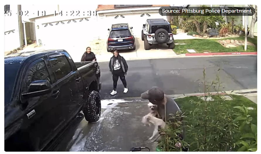 Sign: Demand Justice For 3-Pound Senior Dog Viciously Kicked By Woman