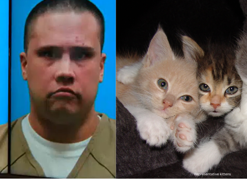VICTORY: Convicted Cat Strangler, Mutilates More Cats and Kittens While on Parole