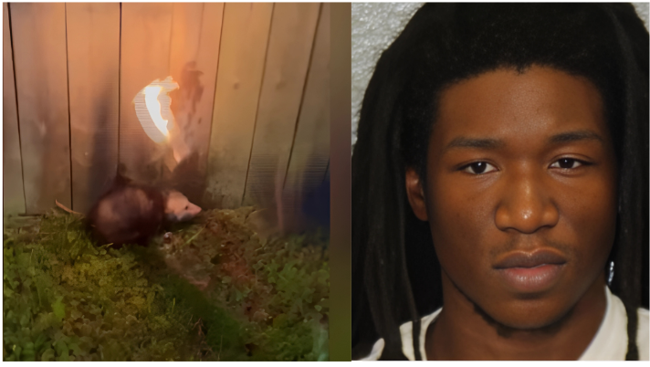 Sign: Three People Set Live Possum on Fire, Laughing As They Record Gruesome Death