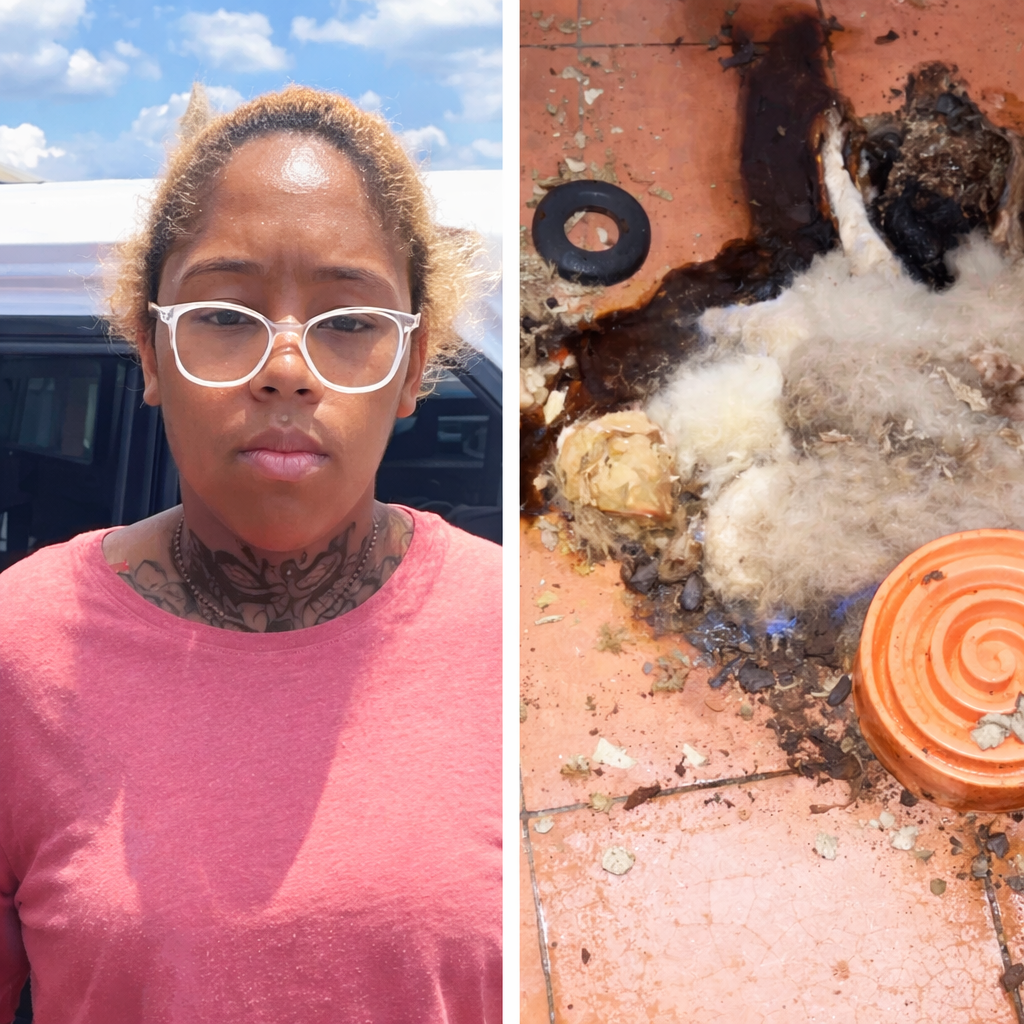 Sign: Vet Tech’s Cat and Dogs Found Decomposing in Bedroom After She Abandoned Them