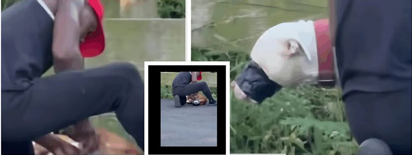 Sign: Brazen Lowlife Arrested After Duct-Taping Dog’s Face and Legs