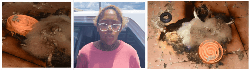 Sign: Vet Tech’s Cat and Dogs Found Decomposing in Bedroom After She Abandoned Them