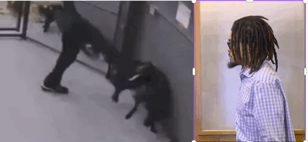 SIGN: Heartbreaking, Employee Kicks and Hits Dog at Dog Daycare Causing Death