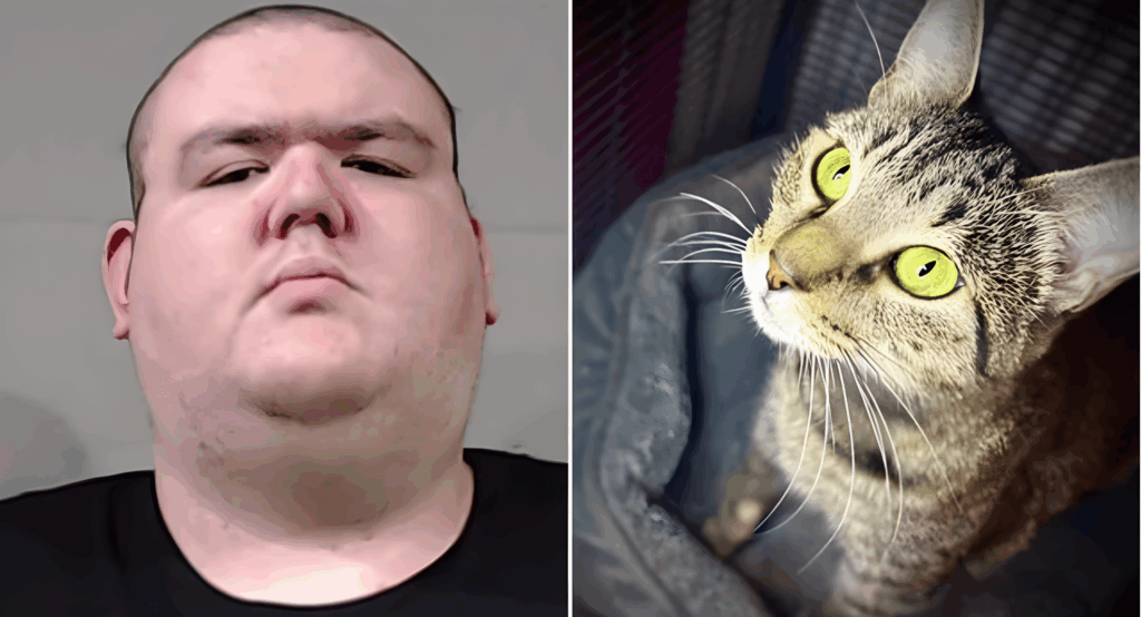 Sign: Vile man sexually assaults helpless cat — cruelty that can’t be ignored!