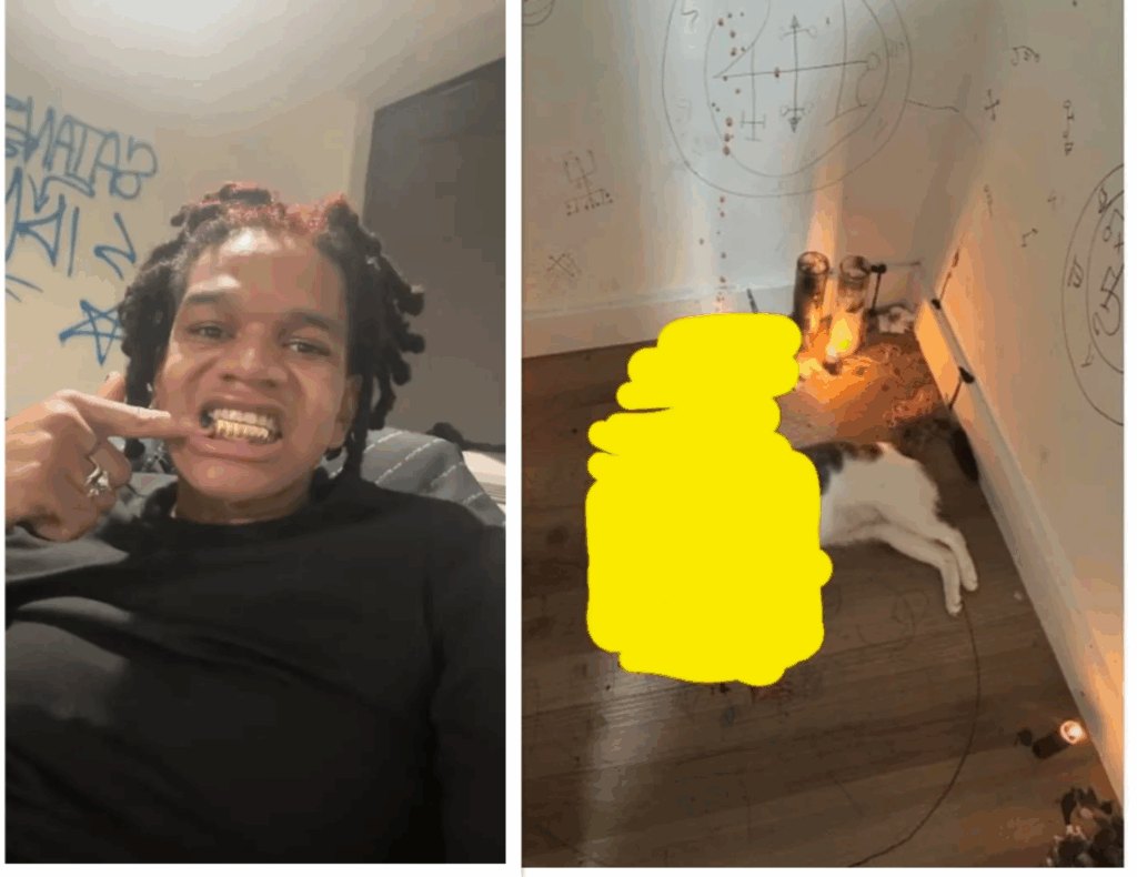 Sign: Bronx Man Tortures and Kills Cat in Satanic Ritual for YouTube Views