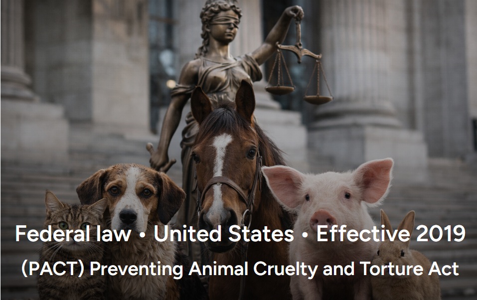 animalvictory.org