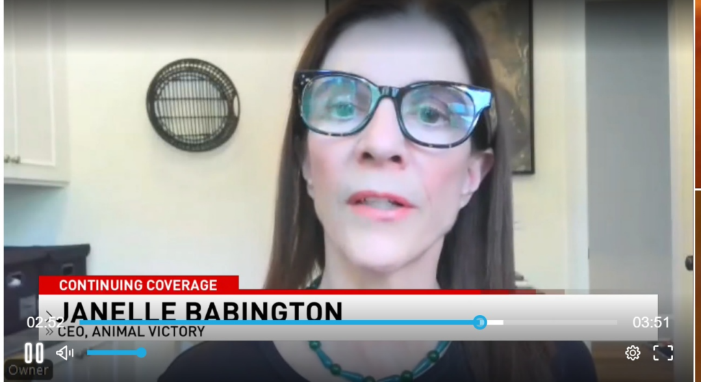 Janelle Babington on News 3 Las Vegas