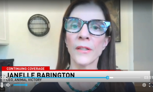janelle_news3_header